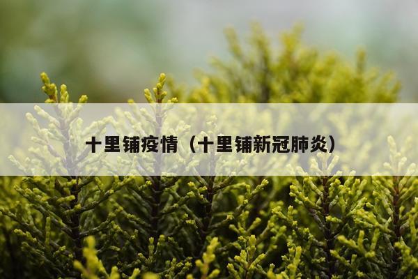 十里铺疫情（十里铺新冠肺炎）