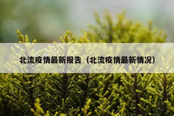 北流疫情最新报告（北流疫情最新情况）
