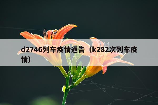 d2746列车疫情通告（k282次列车疫情）