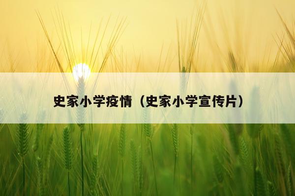 史家小学疫情（史家小学宣传片）