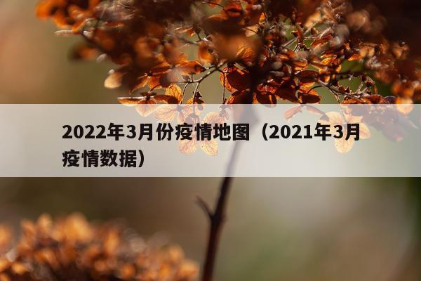 2022年3月份疫情地图（2021年3月疫情数据）