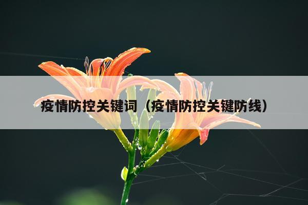 疫情防控关键词（疫情防控关键防线）