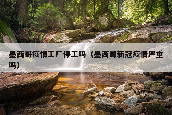 墨西哥疫情工厂停工吗（墨西哥新冠疫情严重吗）