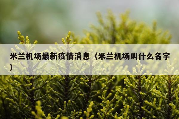 米兰机场最新疫情消息（米兰机场叫什么名字）