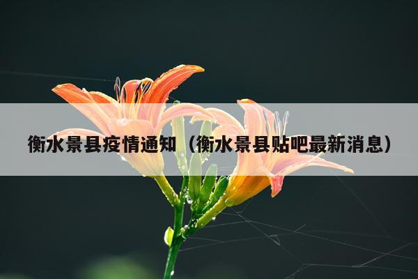 衡水景县疫情通知（衡水景县贴吧最新消息）
