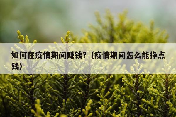 如何在疫情期间赚钱?（疫情期间怎么能挣点钱）