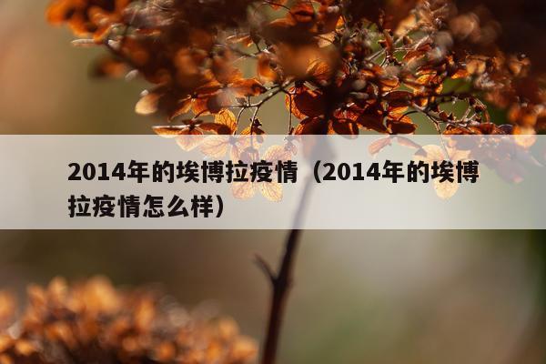 2014年的埃博拉疫情（2014年的埃博拉疫情怎么样）