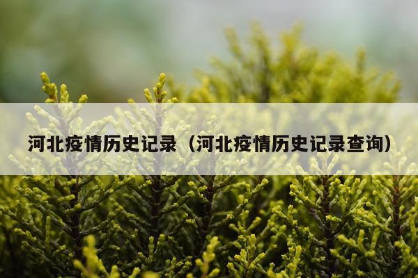 河北疫情历史记录（河北疫情历史记录查询）