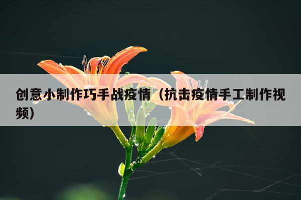创意小制作巧手战疫情（抗击疫情手工制作视频）