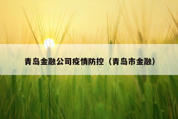 青岛金融公司疫情防控（青岛市金融）