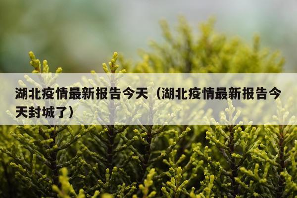 湖北疫情最新报告今天（湖北疫情最新报告今天封城了）