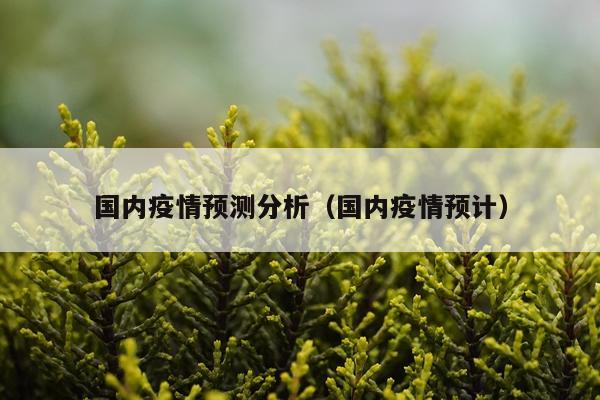 国内疫情预测分析（国内疫情预计）