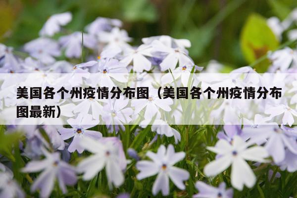 美国各个州疫情分布图（美国各个州疫情分布图最新）