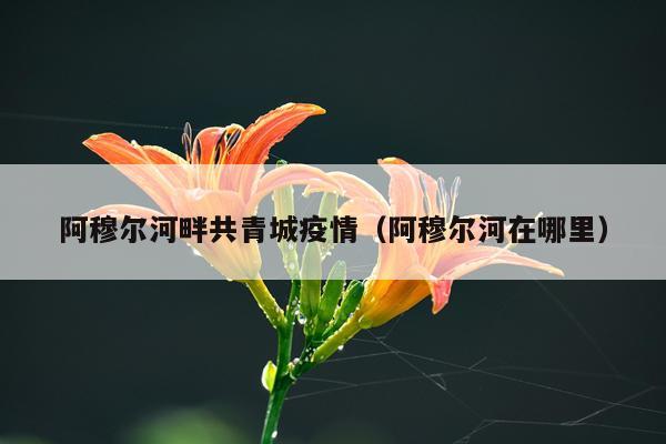 阿穆尔河畔共青城疫情（阿穆尔河在哪里）