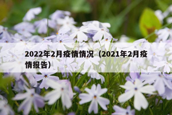 2022年2月疫情情况（2021年2月疫情报告）