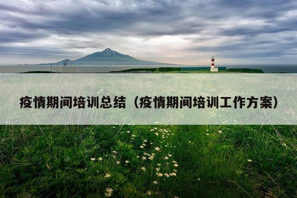疫情期间培训总结（疫情期间培训工作方案）