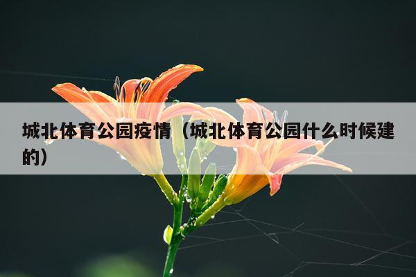城北体育公园疫情（城北体育公园什么时候建的）