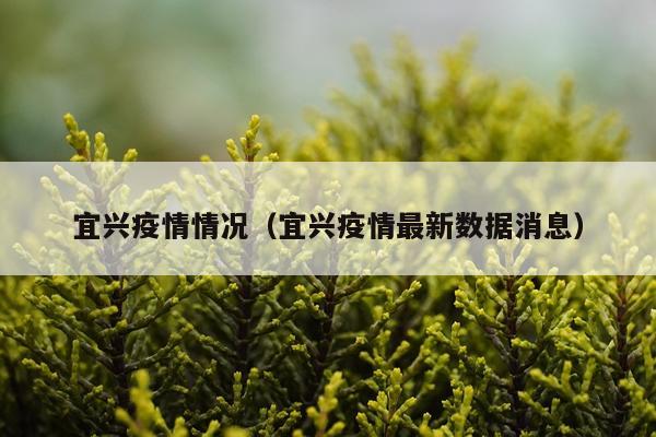 宜兴疫情情况（宜兴疫情最新数据消息）