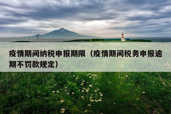 疫情期间纳税申报期限（疫情期间税务申报逾期不罚款规定）