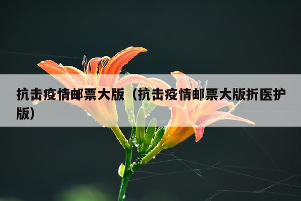 抗击疫情邮票大版（抗击疫情邮票大版折医护版）