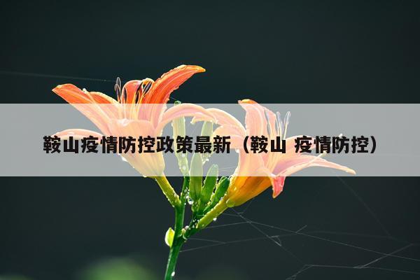 鞍山疫情防控政策最新（鞍山 疫情防控）