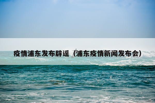 疫情浦东发布辟谣（浦东疫情新闻发布会）