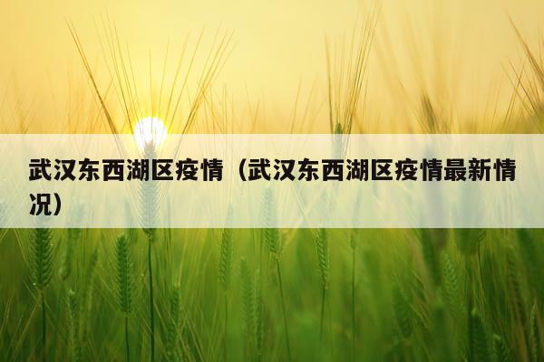 武汉东西湖区疫情（武汉东西湖区疫情最新情况）