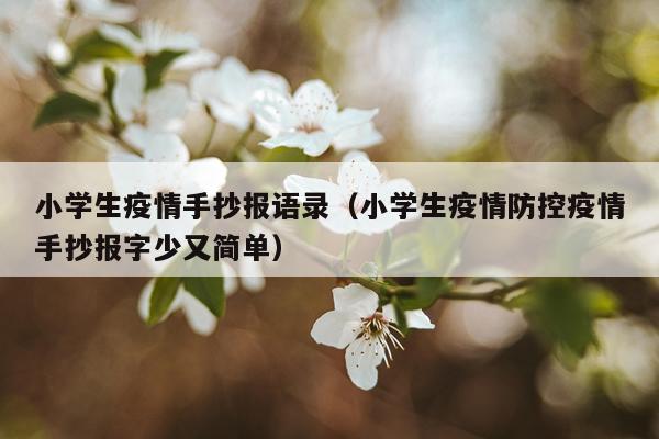 小学生疫情手抄报语录（小学生疫情防控疫情手抄报字少又简单）