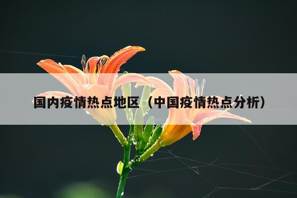 国内疫情热点地区（中国疫情热点分析）