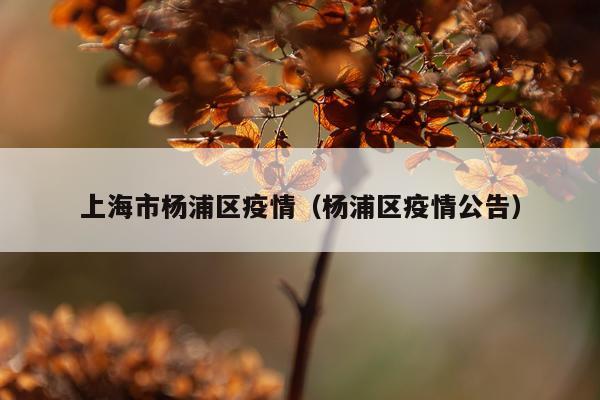 上海市杨浦区疫情（杨浦区疫情公告）