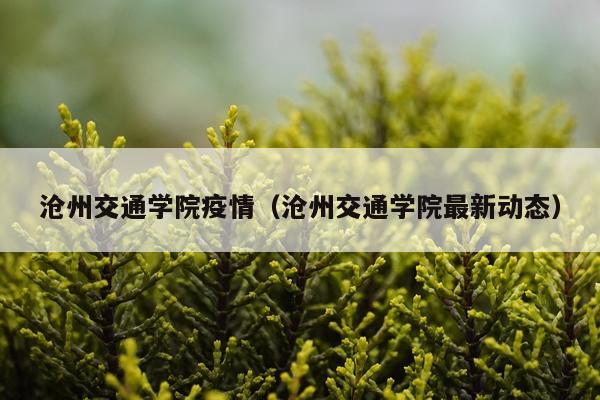 沧州交通学院疫情（沧州交通学院最新动态）