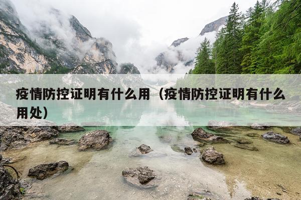 疫情防控证明有什么用（疫情防控证明有什么用处）