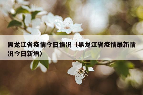 黑龙江省疫情今日情况（黑龙江省疫情最新情况今日新增）