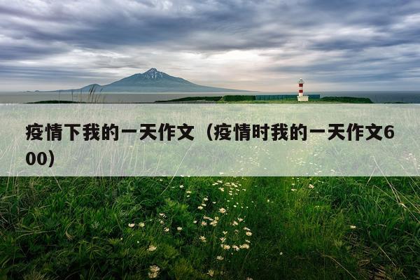 疫情下我的一天作文（疫情时我的一天作文600）