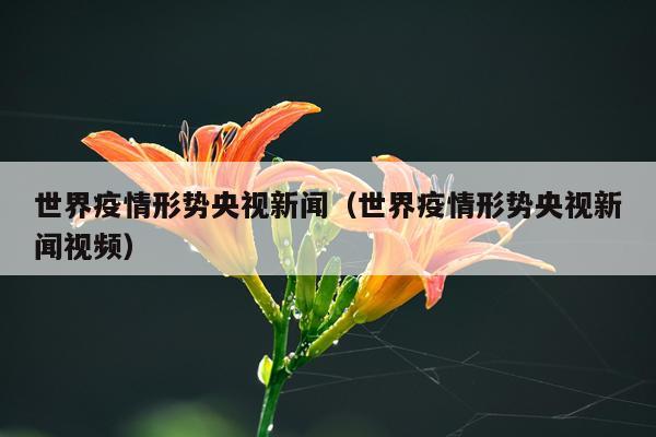 世界疫情形势央视新闻（世界疫情形势央视新闻视频）