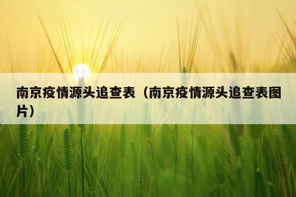 南京疫情源头追查表（南京疫情源头追查表图片）