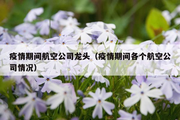 疫情期间航空公司龙头（疫情期间各个航空公司情况）