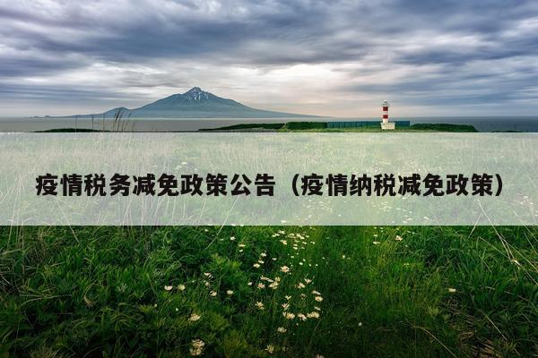 疫情税务减免政策公告（疫情纳税减免政策）