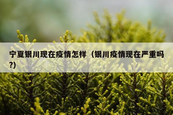 宁夏银川现在疫情怎样（银川疫情现在严重吗?）