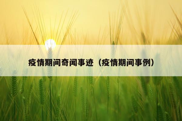 疫情期间奇闻事迹（疫情期间事例）