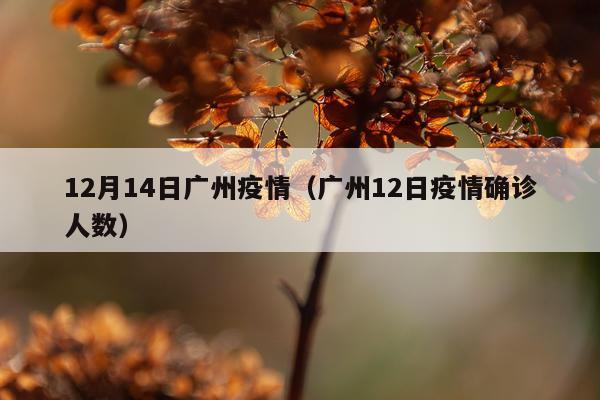 12月14日广州疫情（广州12日疫情确诊人数）