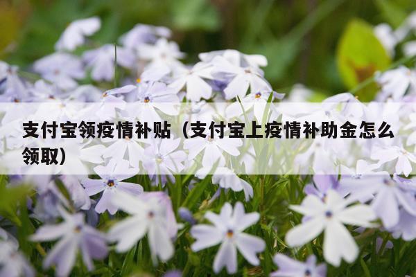 支付宝领疫情补贴（支付宝上疫情补助金怎么领取）