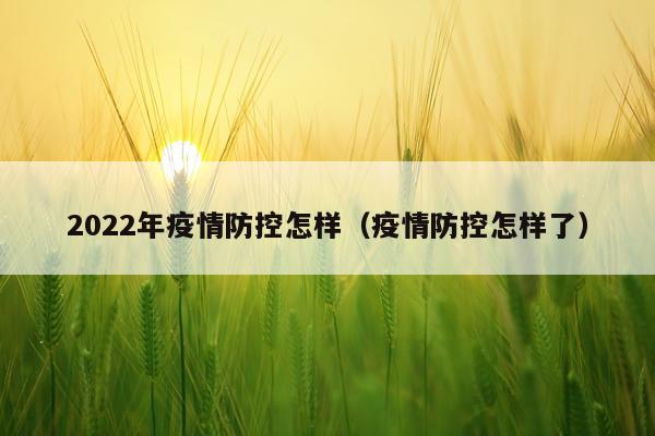 2022年疫情防控怎样（疫情防控怎样了）
