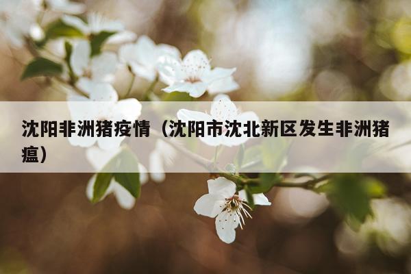 沈阳非洲猪疫情（沈阳市沈北新区发生非洲猪瘟）