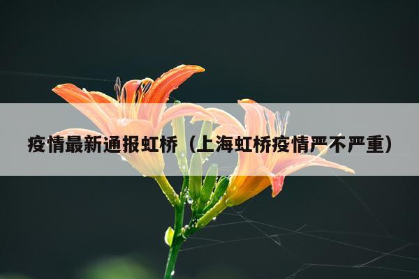 疫情最新通报虹桥（上海虹桥疫情严不严重）