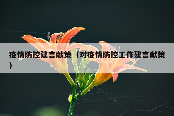 疫情防控建言献策（对疫情防控工作建言献策）