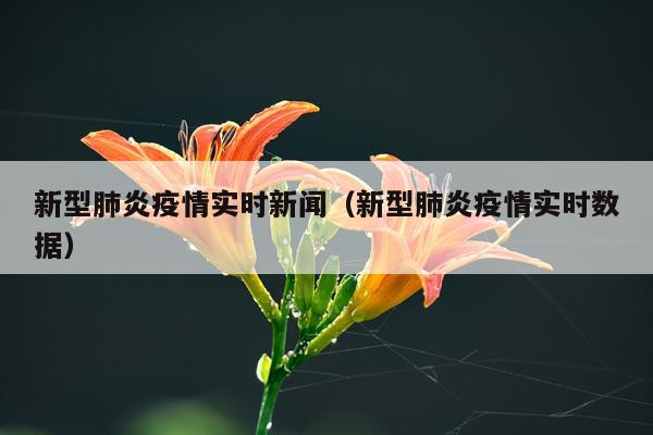 新型肺炎疫情实时新闻（新型肺炎疫情实时数据）