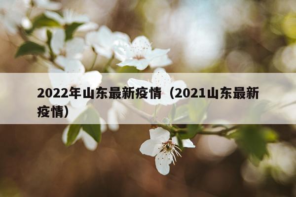 2022年山东最新疫情（2021山东最新疫情）