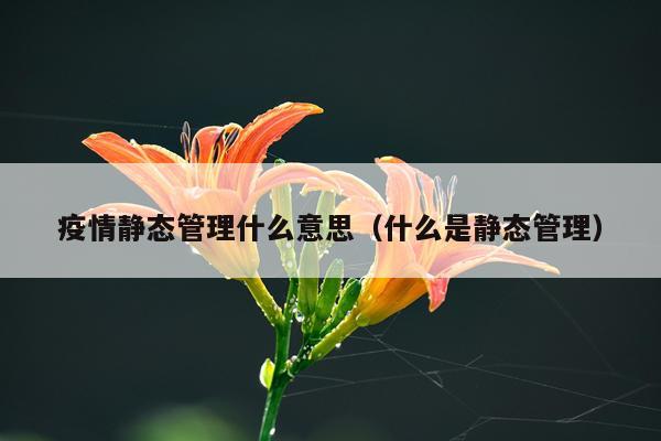 疫情静态管理什么意思（什么是静态管理）