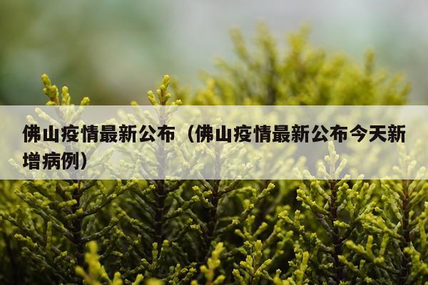 佛山疫情最新公布（佛山疫情最新公布今天新增病例）